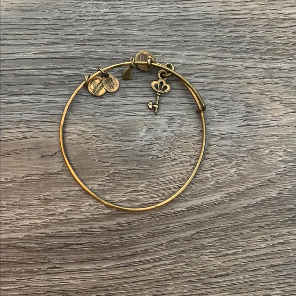 Alex and Ani Key Bracelet